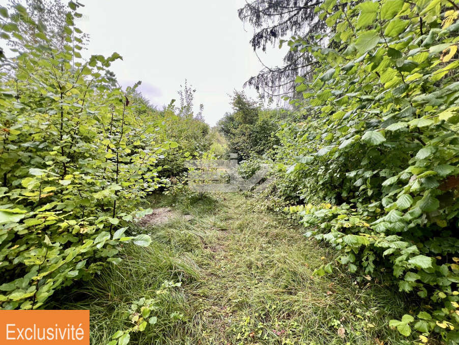 Terrain à JONCHERY-SUR-VESLE