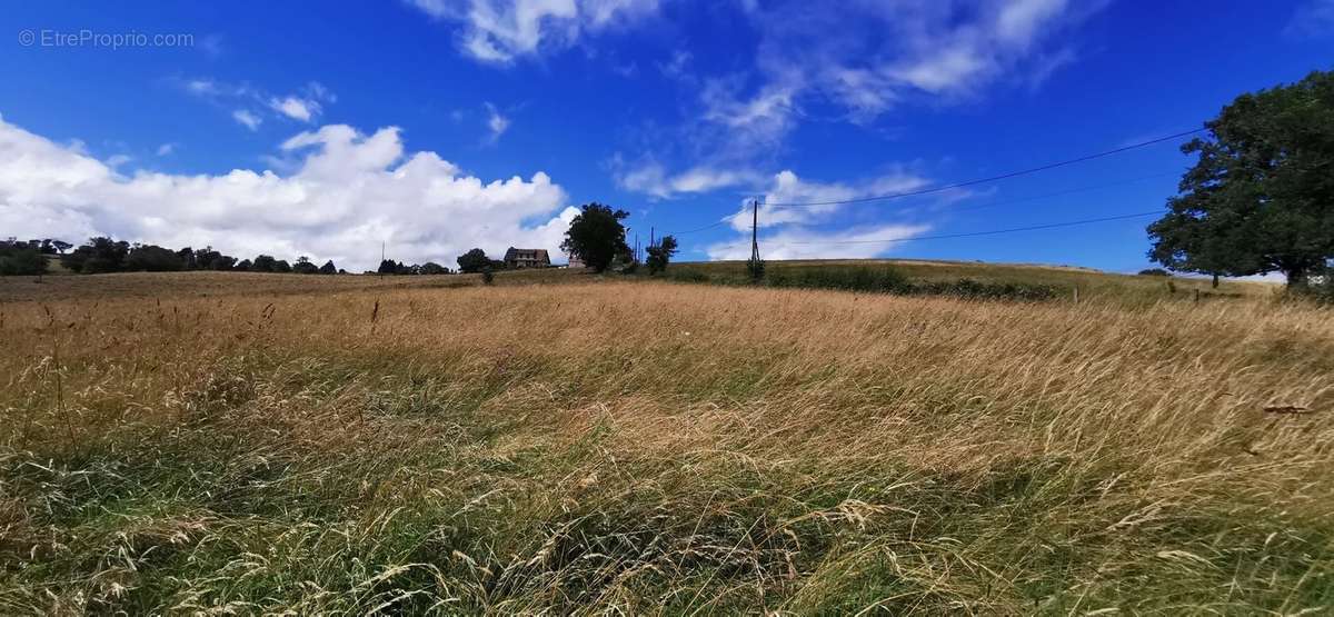 Terrain à ROANNE