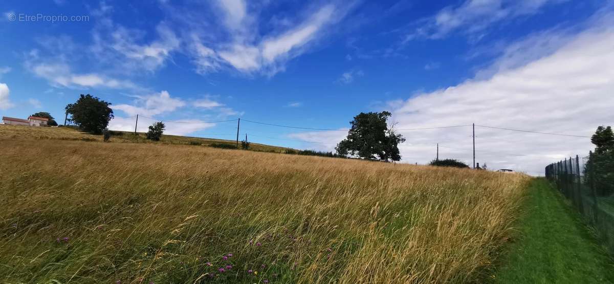 Terrain à ROANNE