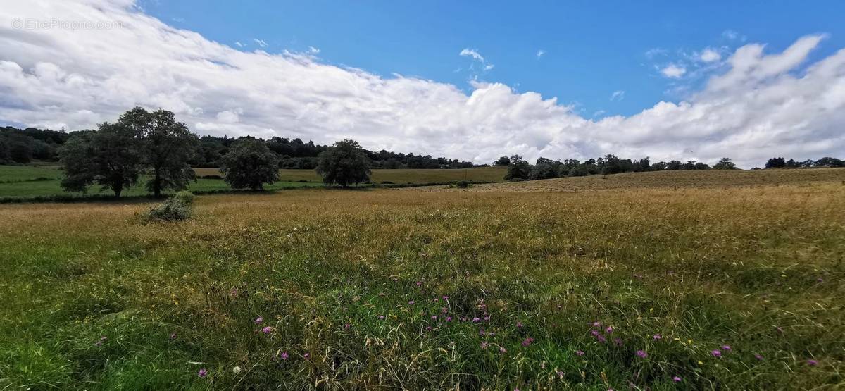 Terrain à ROANNE