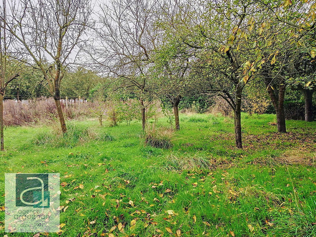 Terrain à LAMBALLE