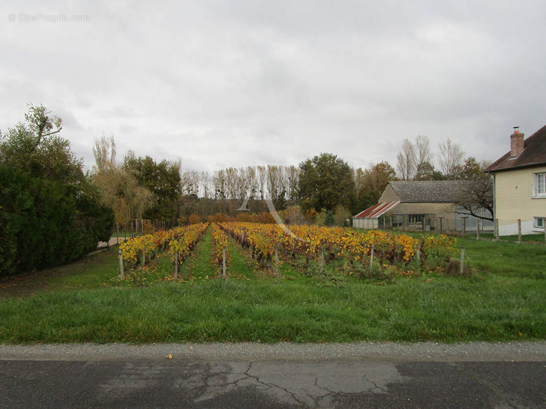 Terrain à SAINT-AIGNAN