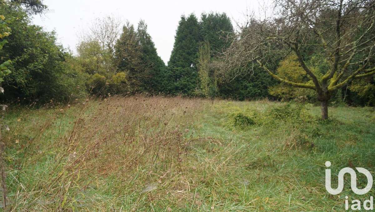 Photo 4 - Maison à YVRE-LE-POLIN