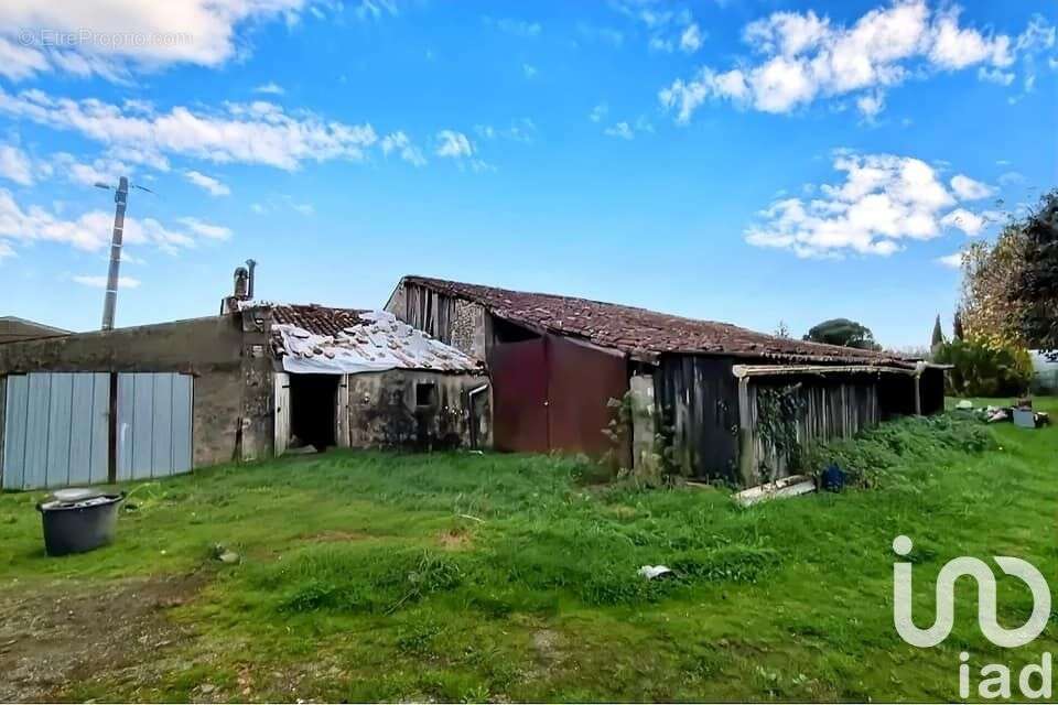 Photo 6 - Maison à BLAYE