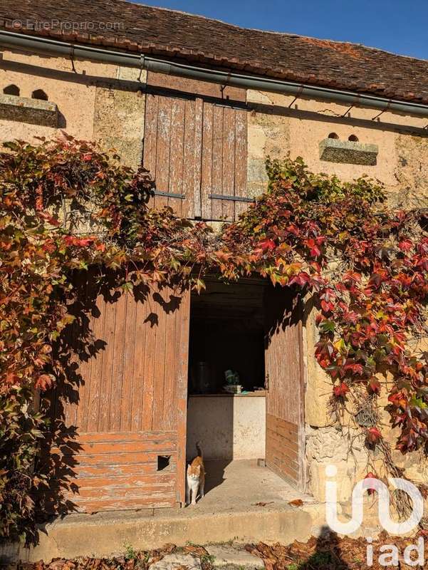 Photo 3 - Maison à SAINT-CYPRIEN