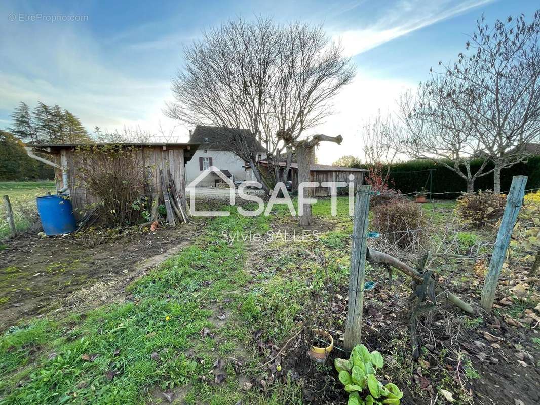 Photo 4 - Maison à LE BUISSON-DE-CADOUIN