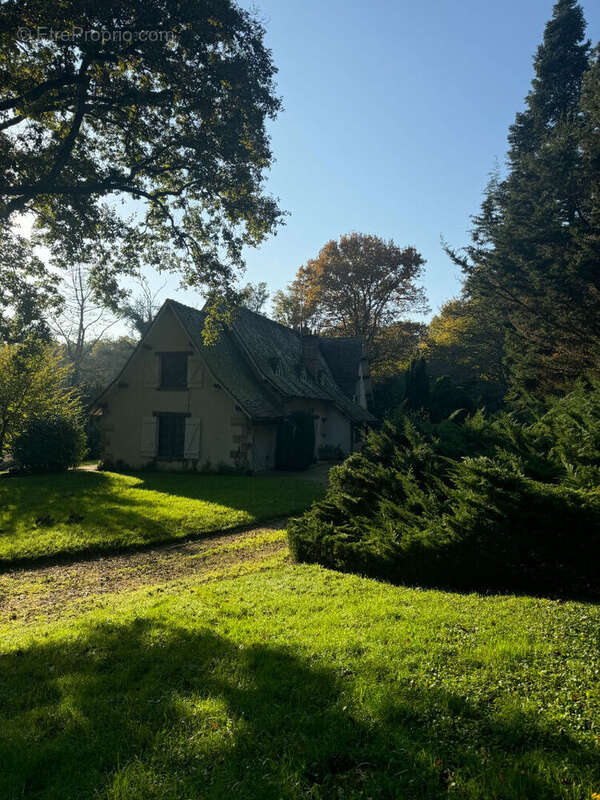 Maison à NANTEAU-SUR-LUNAIN