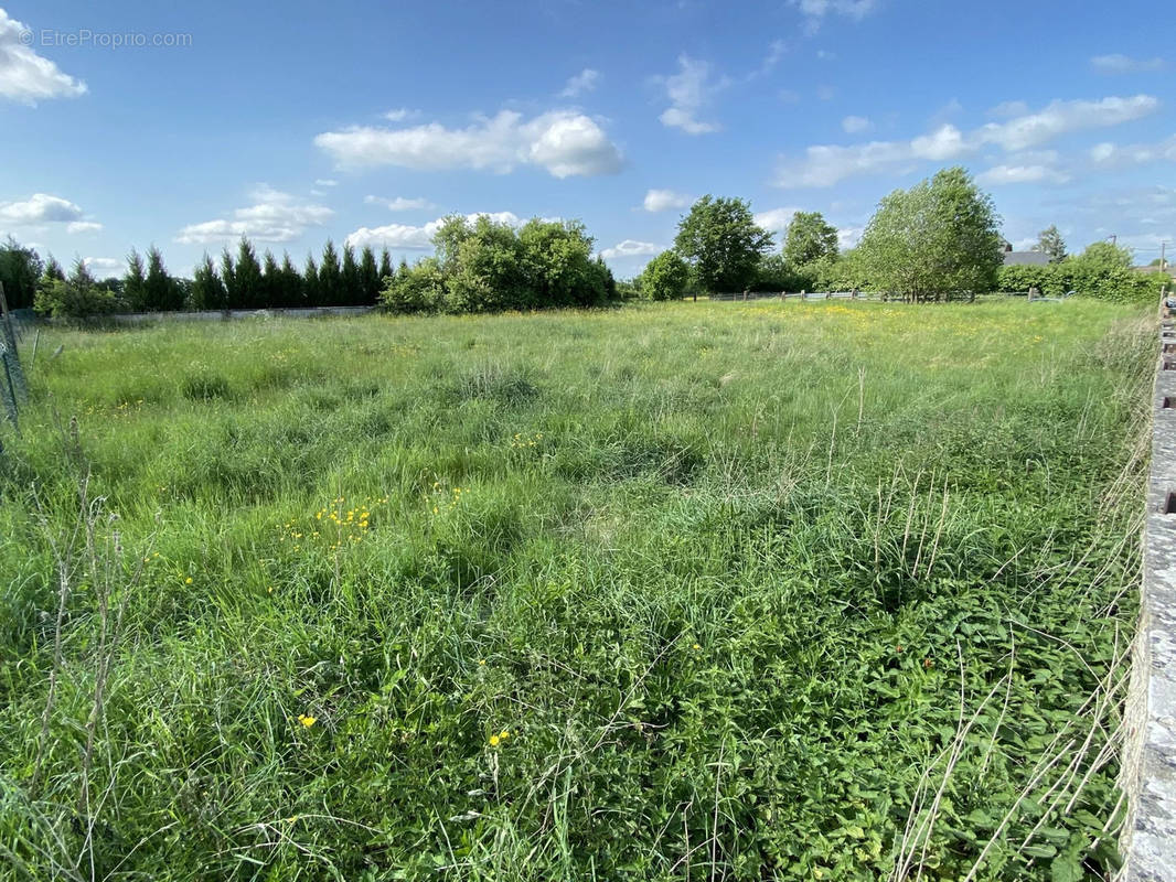 Terrain à MONDREPUIS