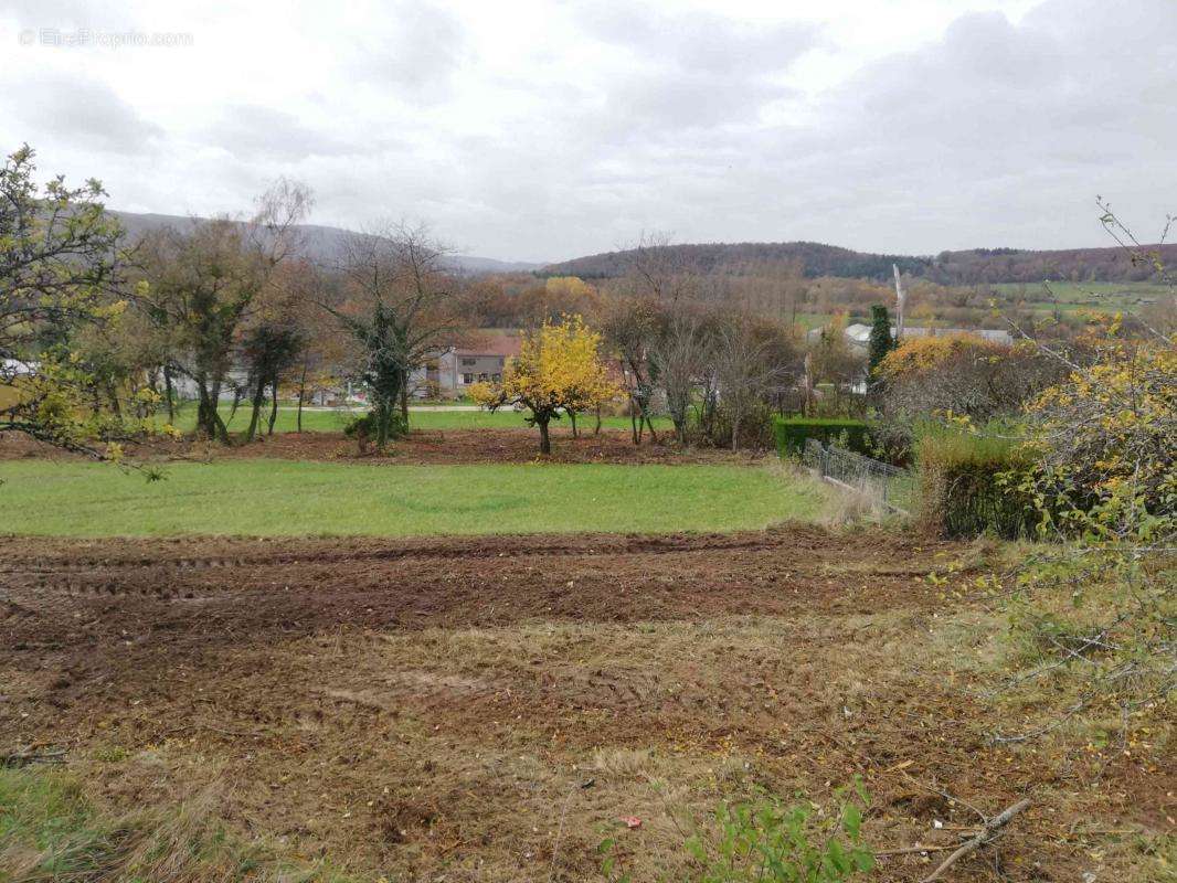 Terrain à AMAGNEY