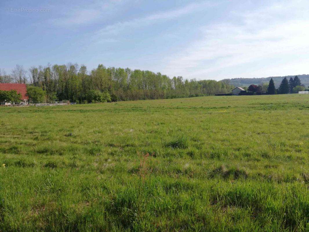 Terrain à MESSIA-SUR-SORNE