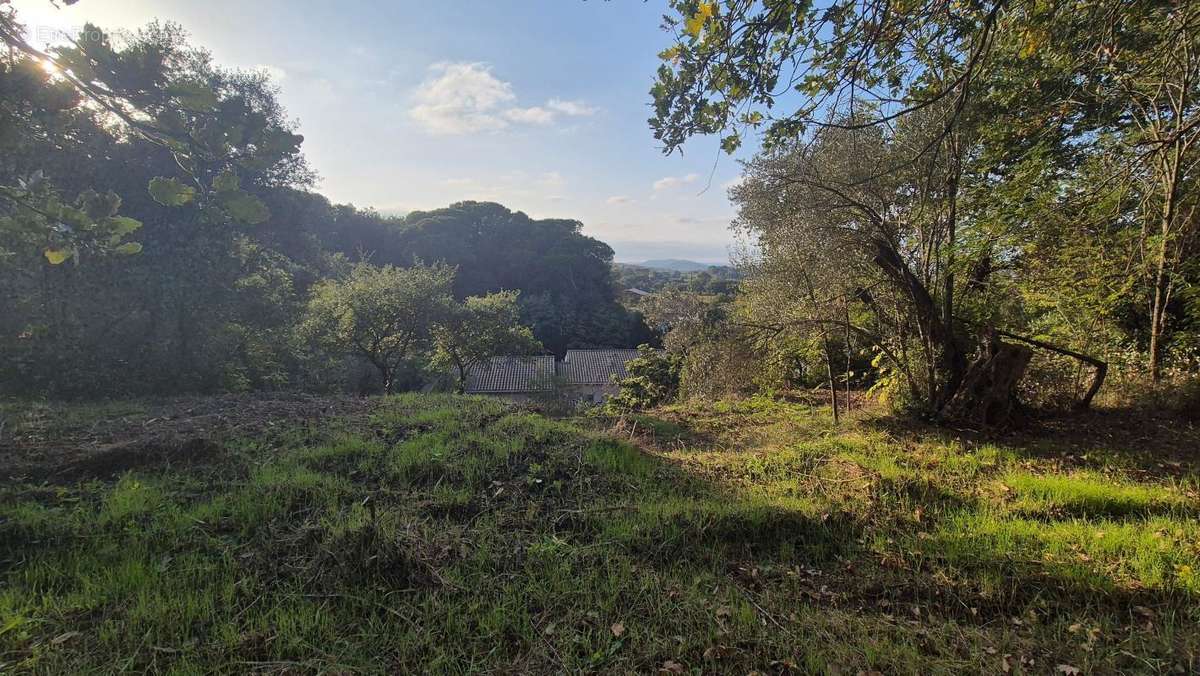 Terrain à BAGNOLS-SUR-CEZE