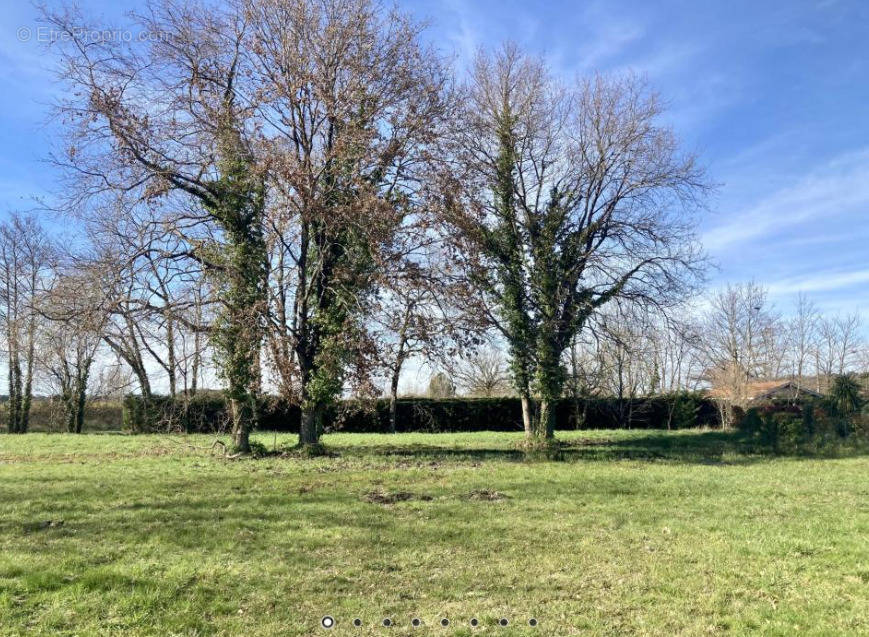 Terrain à CASTELNAU-DE-MEDOC