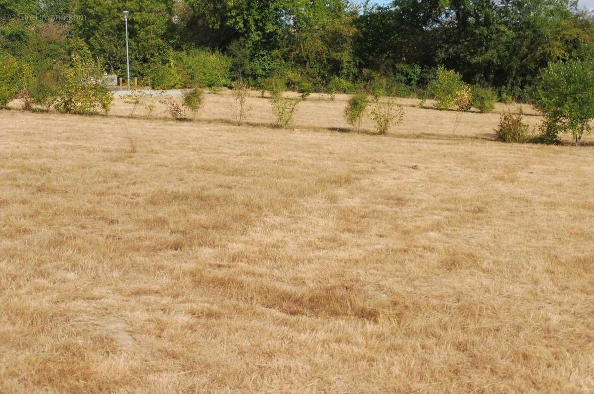 Terrain à LA VILLE-AUX-CLERCS