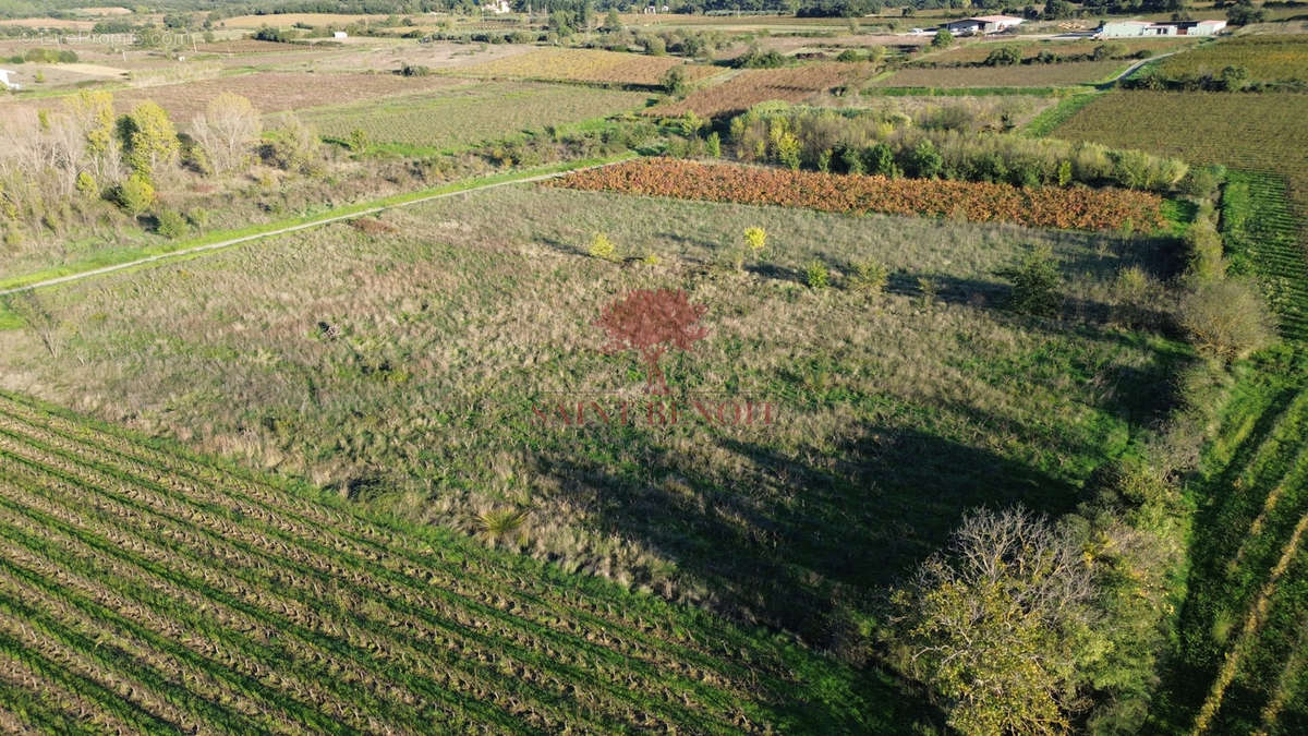 Terrain à ANIANE