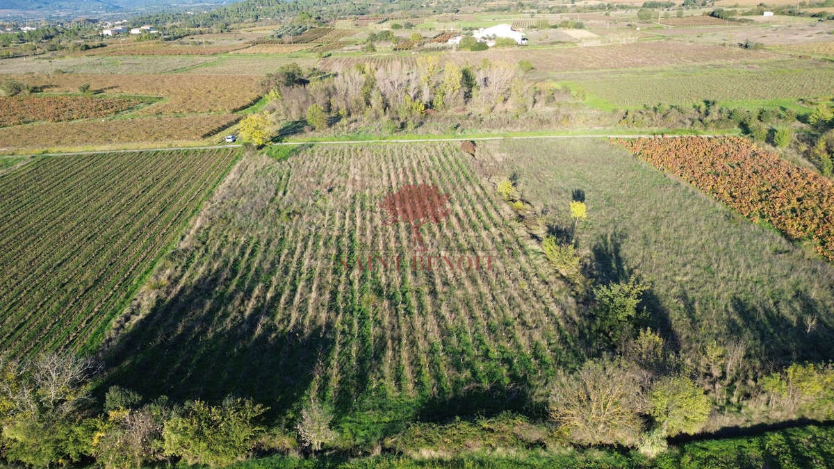 Terrain à ANIANE