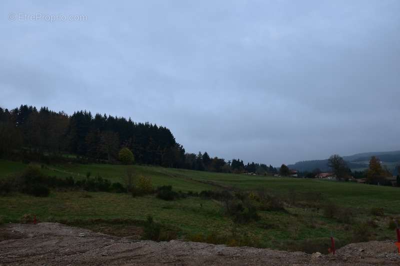 Terrain à DUNIERES