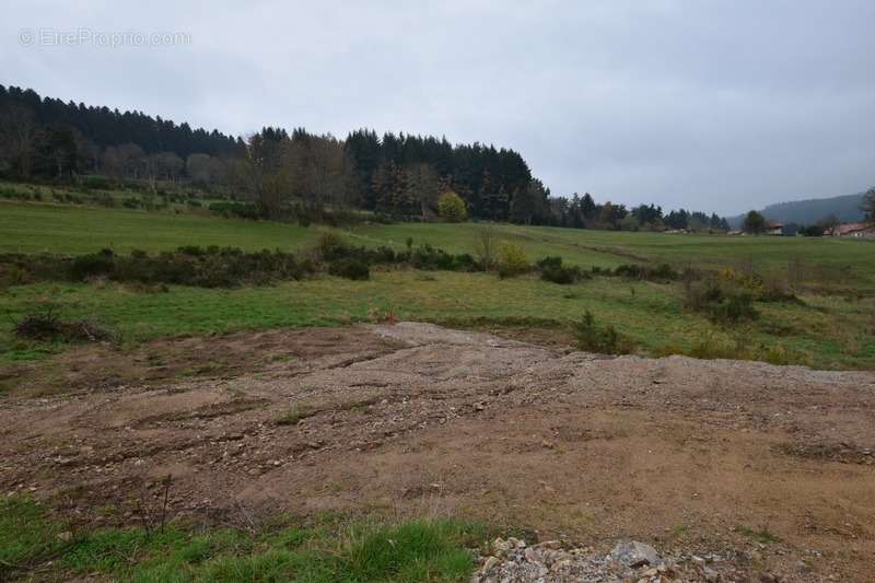 Terrain à DUNIERES