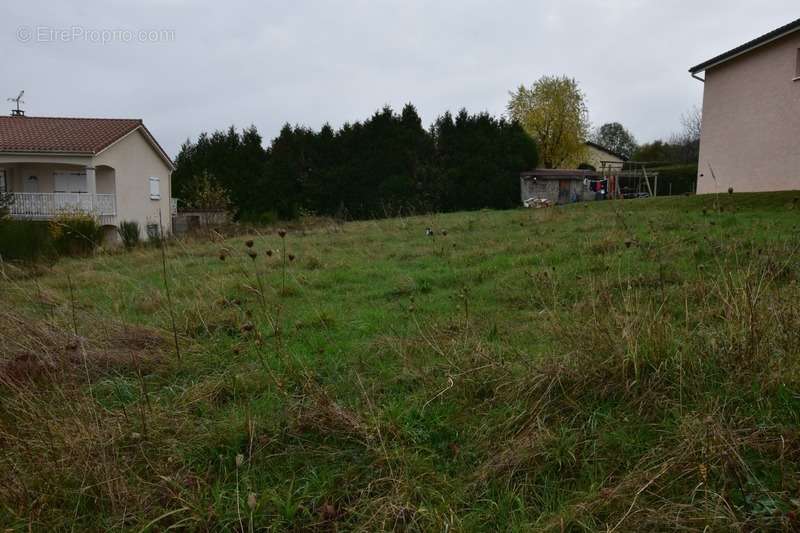 Terrain à DUNIERES