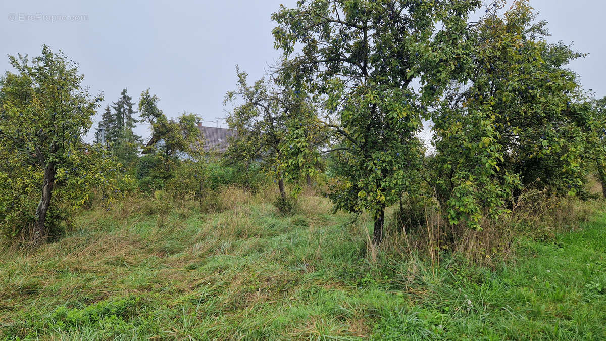 Terrain à BALBRONN