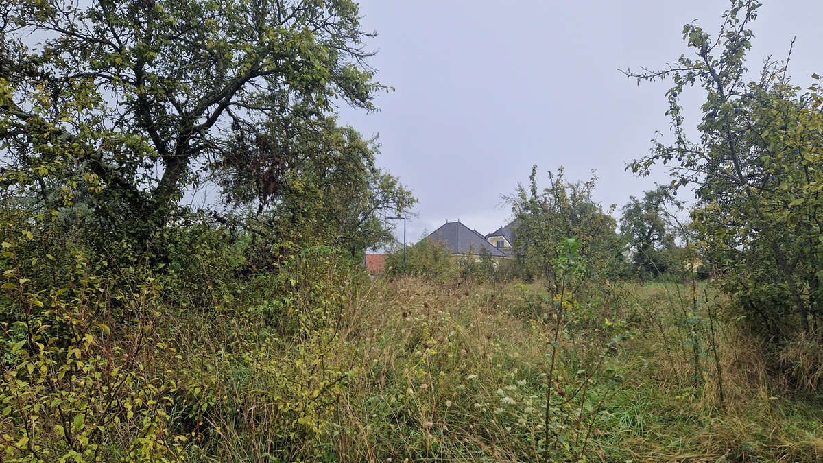 Terrain à BALBRONN