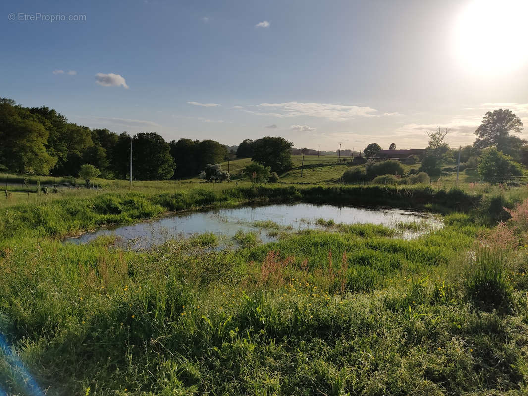 Terrain à THIVIERS