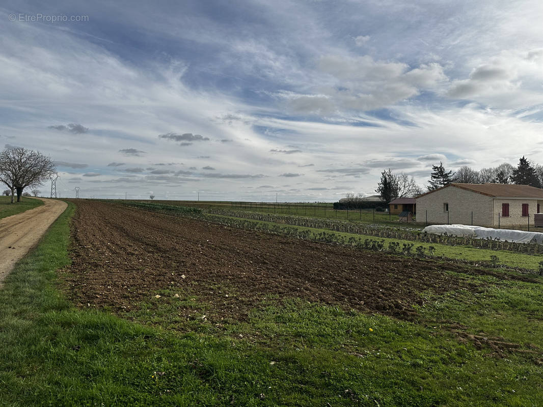 Terrain à JAUNAY-CLAN