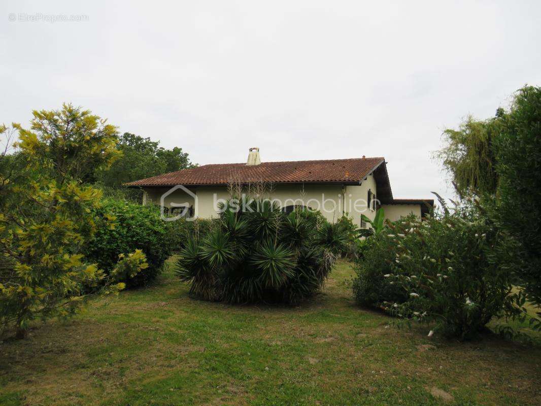 Maison à AIRE-SUR-L&#039;ADOUR