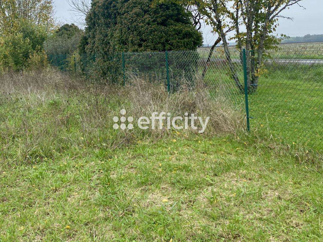 Terrain à TAUXIGNY