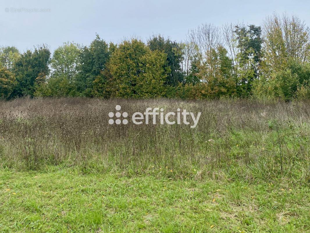 Terrain à TAUXIGNY