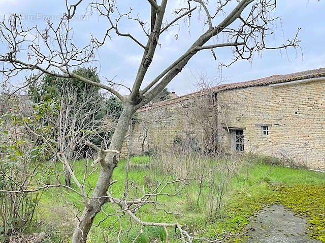 Maison à SAINT-SAUVEUR-D&#039;AUNIS