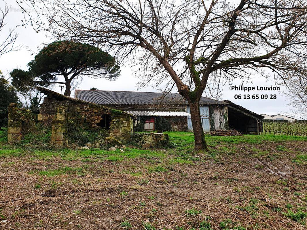 Maison à MONSEGUR