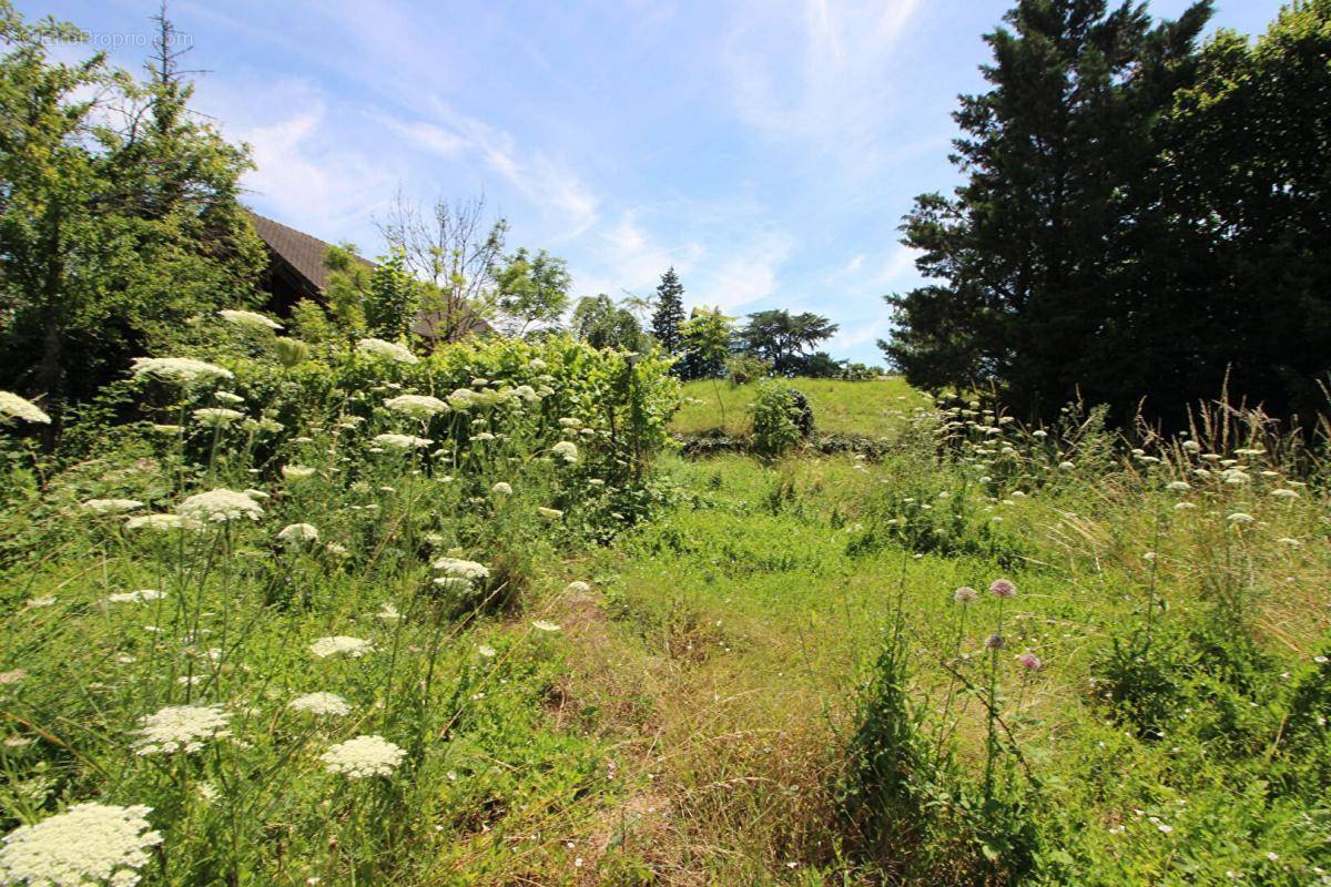 Terrain à BEAUNE