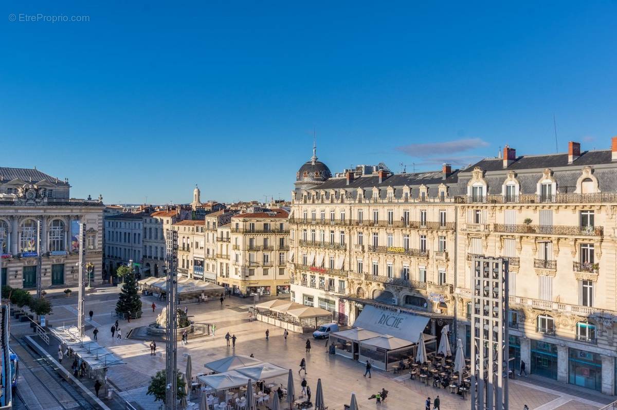 Commerce à MONTPELLIER