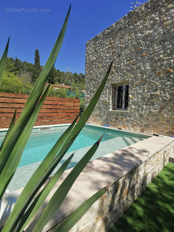 Maison à MONTFORT-SUR-ARGENS