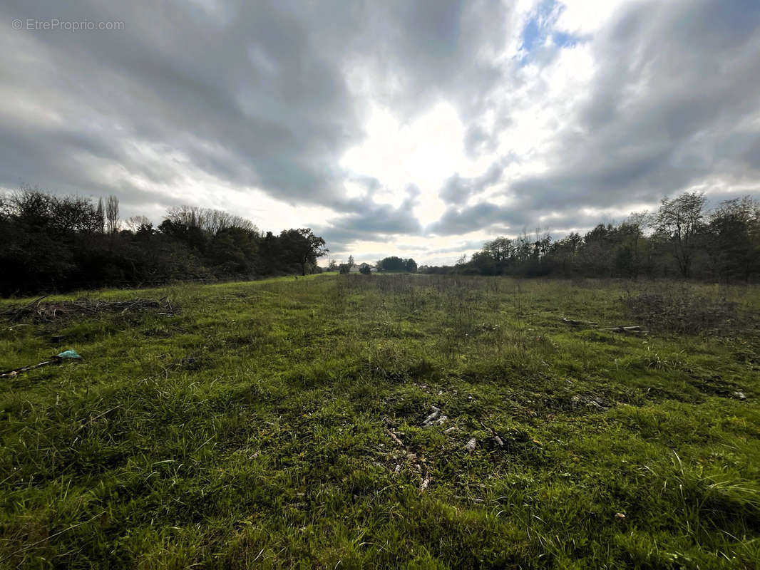 Terrain à SAINT-BENOIT-SUR-LOIRE