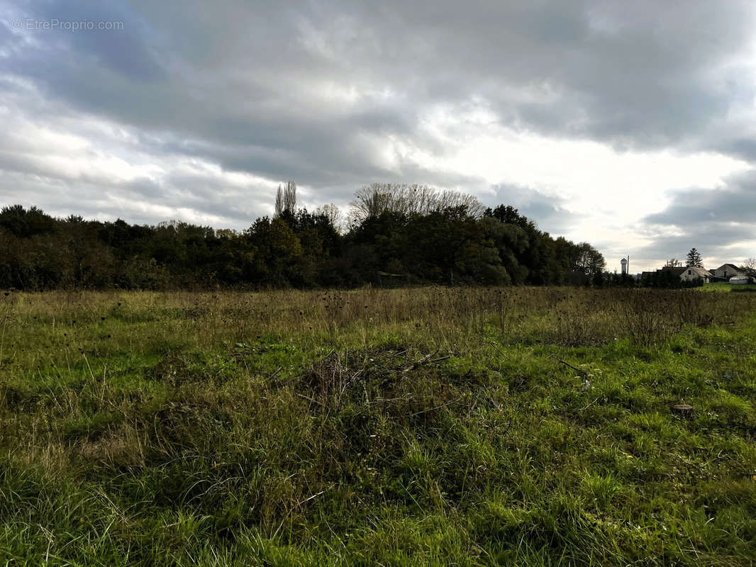 Terrain à SAINT-BENOIT-SUR-LOIRE