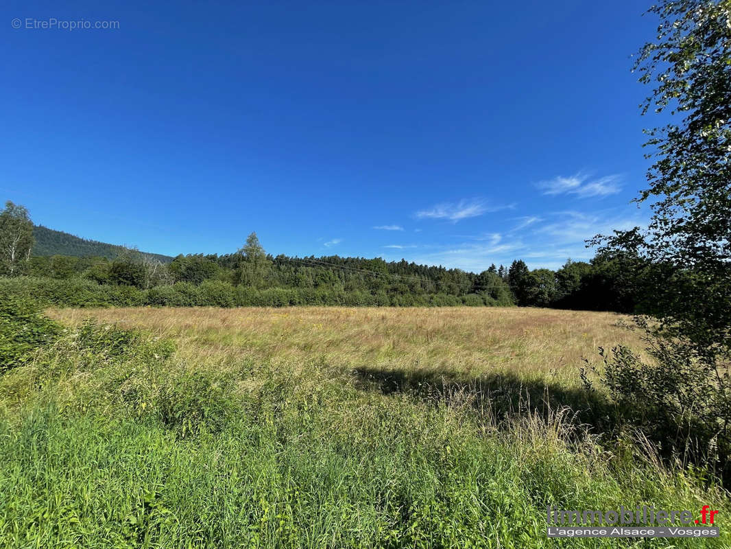 Terrain à SAULCY-SUR-MEURTHE