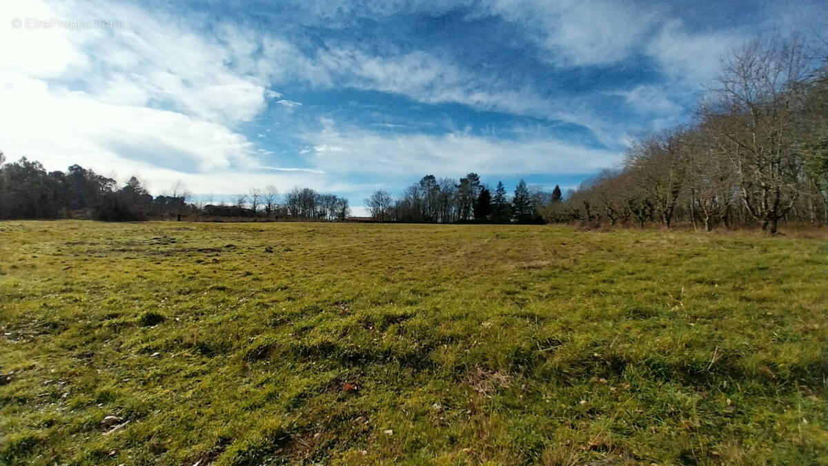 Terrain à BUSSAC