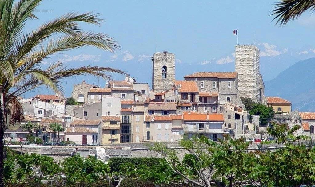 Commerce à ANTIBES