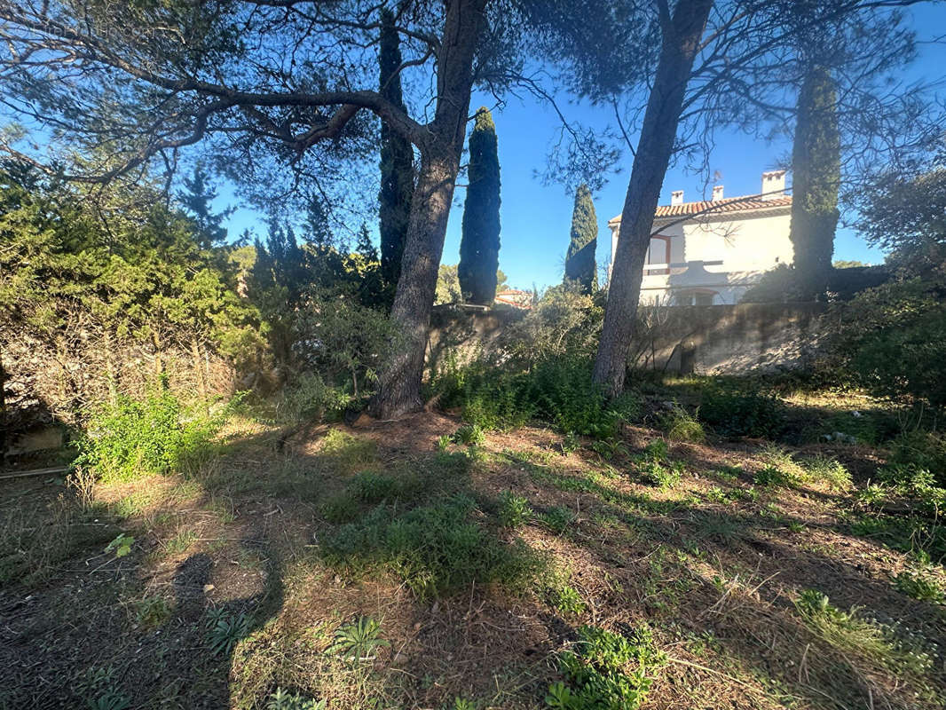 Terrain à SAINT-MITRE-LES-REMPARTS