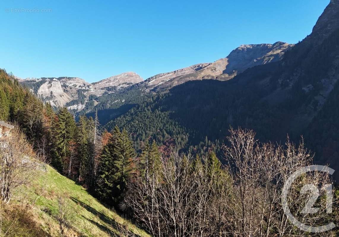 Maison à MORZINE