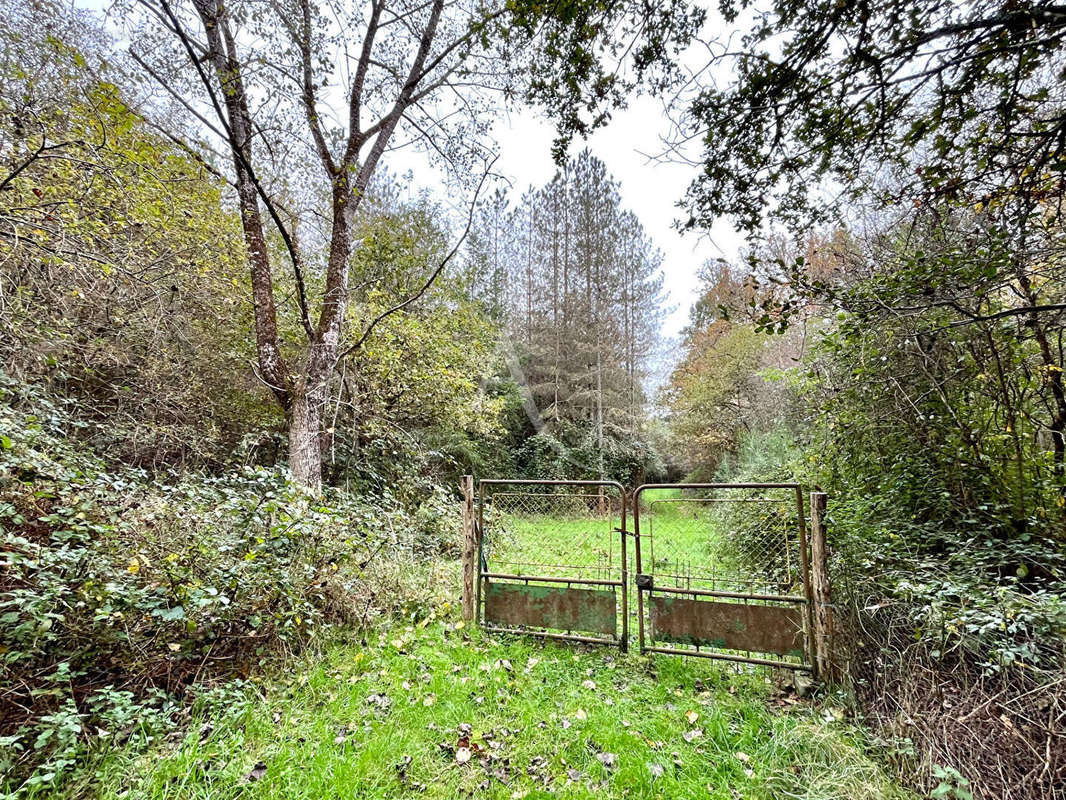 Terrain à LIGNY-LE-RIBAULT