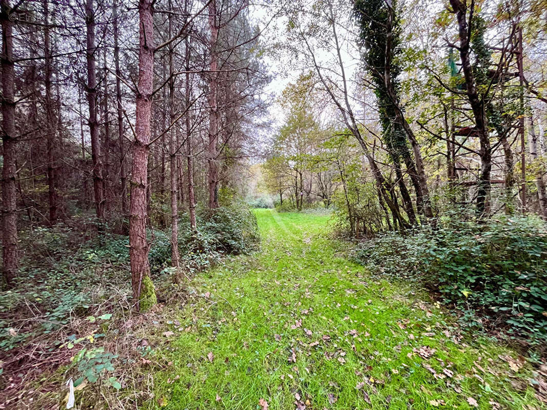 Terrain à LIGNY-LE-RIBAULT