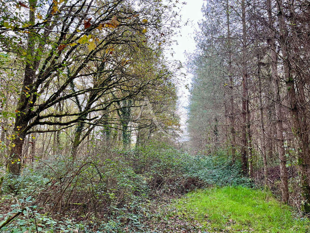 Terrain à LIGNY-LE-RIBAULT