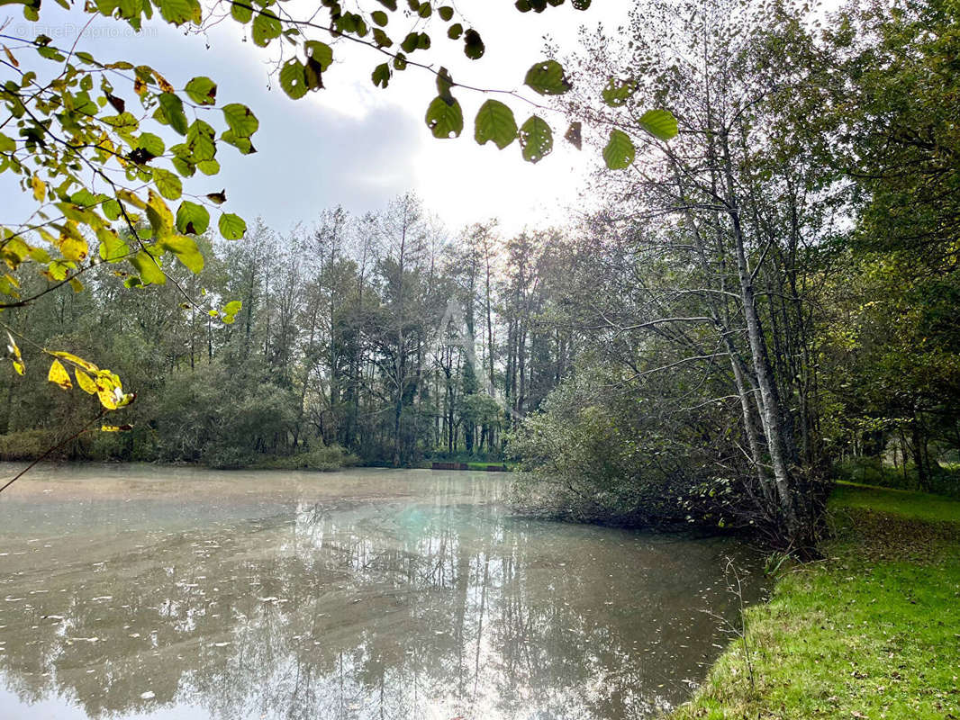 Terrain à LIGNY-LE-RIBAULT