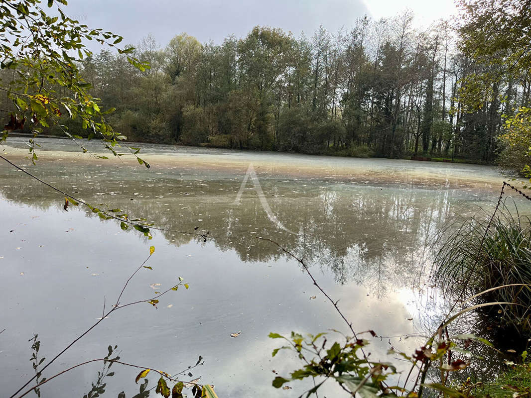 Terrain à LIGNY-LE-RIBAULT