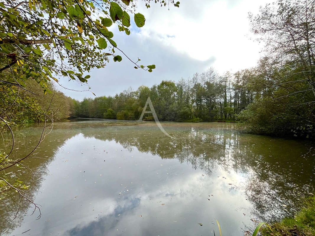 Terrain à LIGNY-LE-RIBAULT