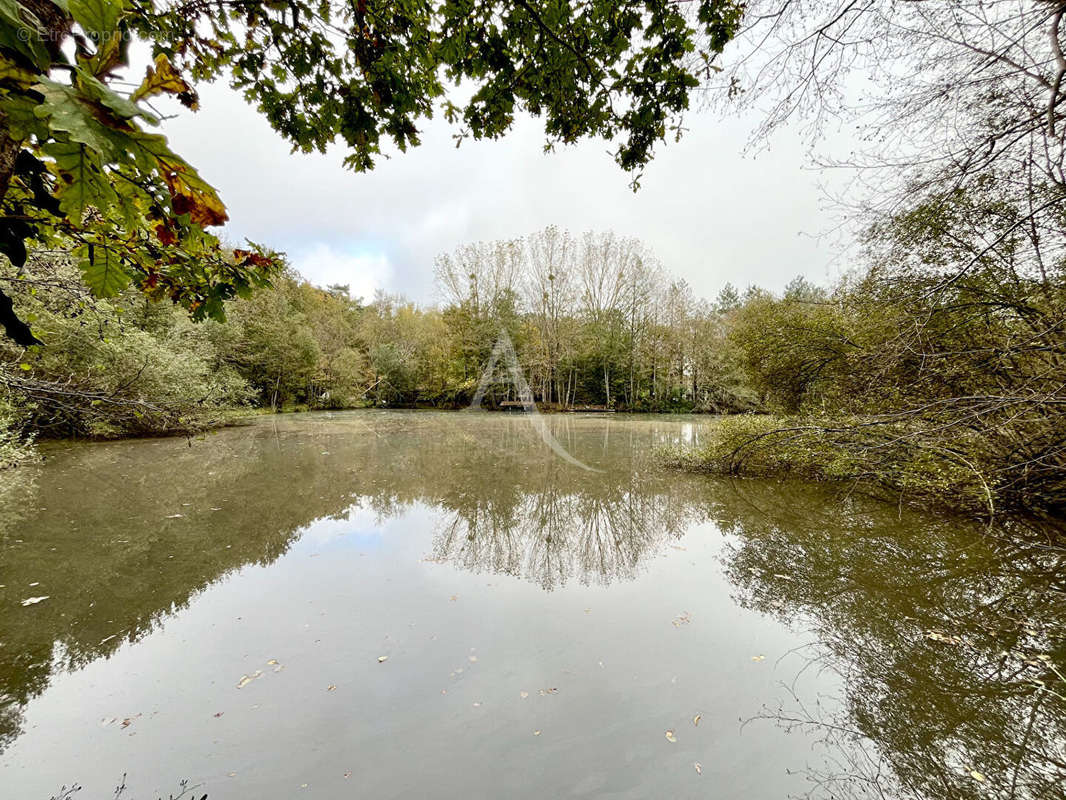 Terrain à LIGNY-LE-RIBAULT