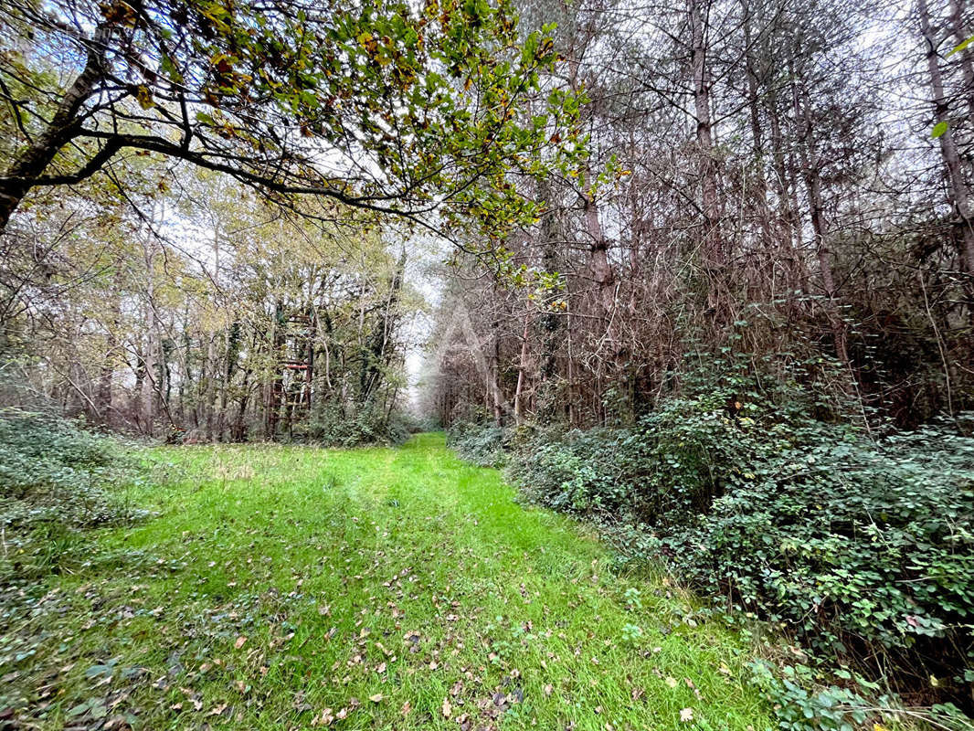 Terrain à LIGNY-LE-RIBAULT