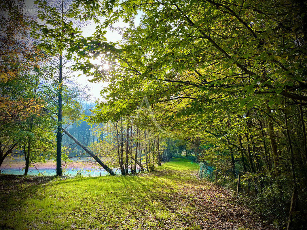 Terrain à LIGNY-LE-RIBAULT